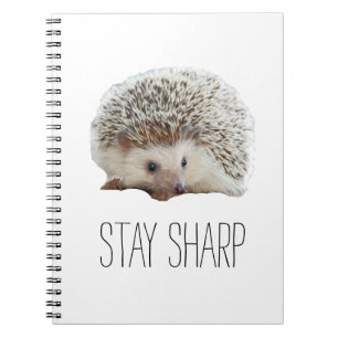 Funny niedlicher Igel bleibe scharfe Zitat Hipster Notizblock