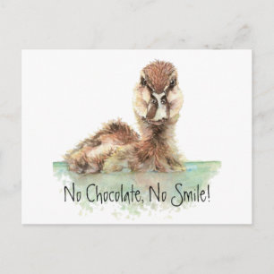 Funny, No Chocolate, No Smile, Angry Duck, Bird Postkarte