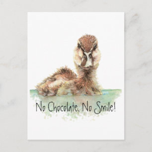 Funny, No Chocolate, No Smile, Angry Duck, Bird Postkarte
