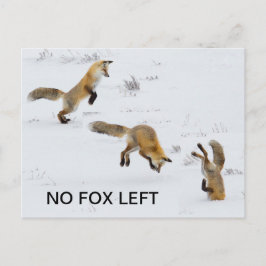 Funny "No Fox Verlassen" Postkarte