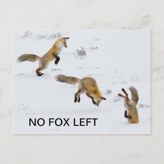 Funny "No Fox Verlassen" Postkarte (Vorderseite)