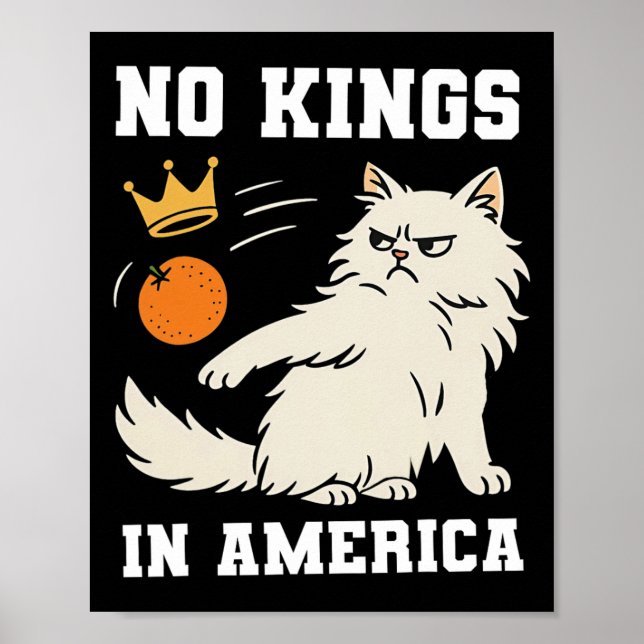Funny No Kings in Amerika Poster (Vorne)