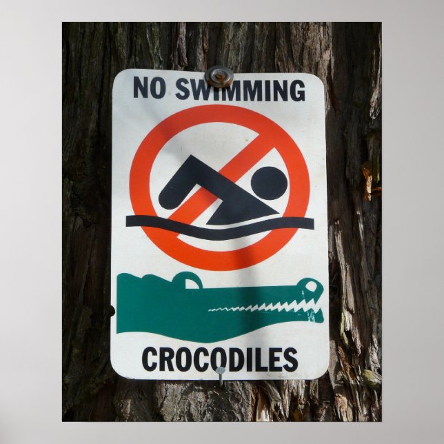 Funny NO SWIMMING Warning Sign Poster (Vorne)