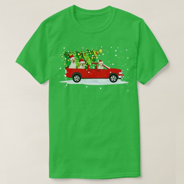 Funny Nova Scotia Duck Tolling Retriever Rides Car T-Shirt (Design vorne)