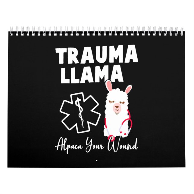 Funny Nurse Kalender (Titelbild)