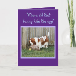 Funny Oaster Card mit Basset Hound, Bunny, & Egg Feiertagskarte