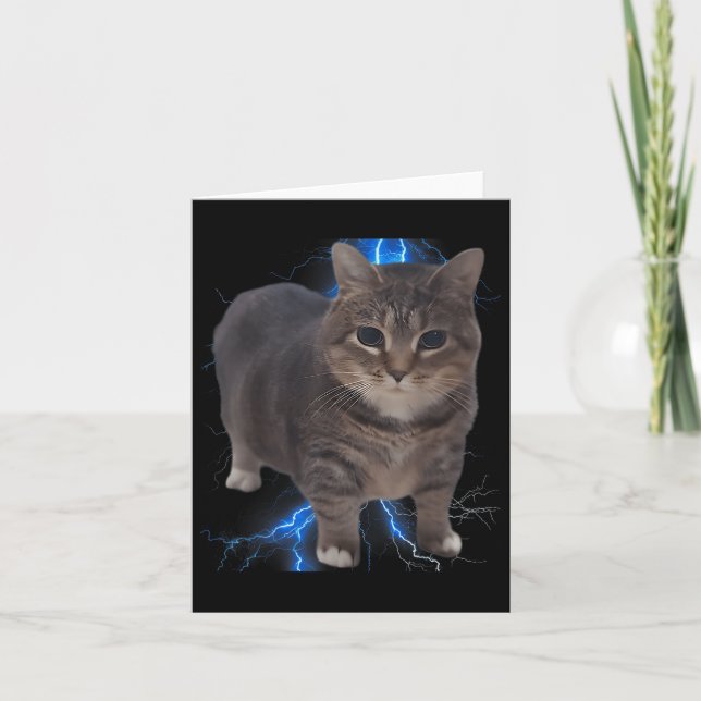 Funny Oiia Oiia Spinning Cat Meme Cat Brainrot Karte (Vorderseite)