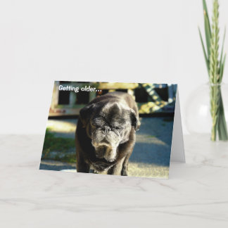 Funny Old Black Möpse Birthday Card Karte
