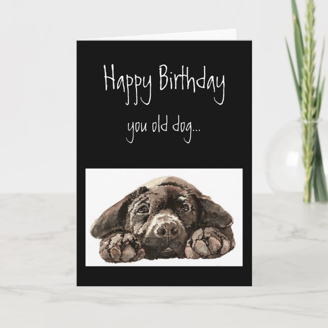 Funny Old Dog Birthday, Labrador Retriever Karte (Vorderseite)