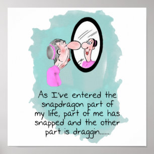 Funny Old Woman Looking Glass Poster