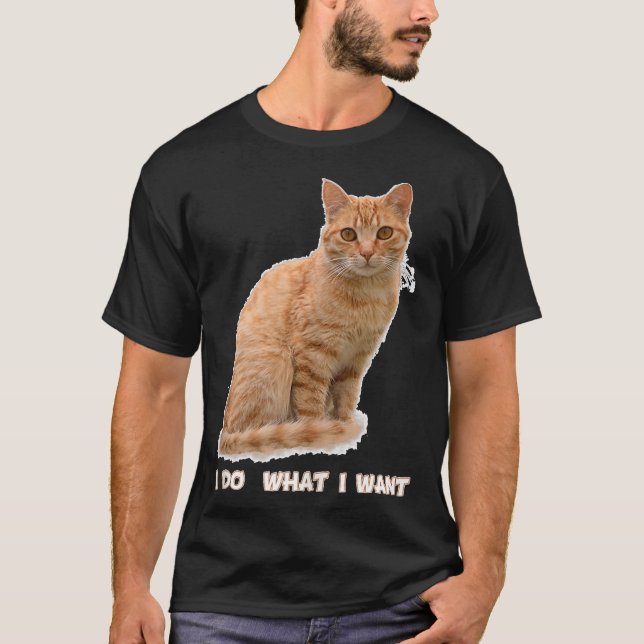 Funny Orange Tabby Cat Liebhaber Geschenke T-Shirt (Vorderseite)