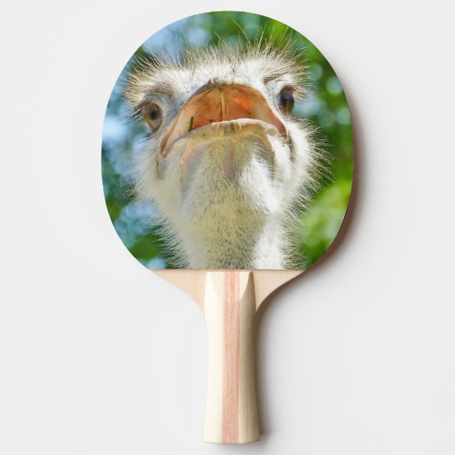 Funny Ostrich Animal Foto Tischtennis Schläger (Vorderseite)