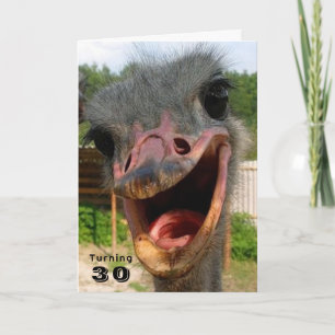 Funny Ostrich Bird 30 Geburtstag Karte