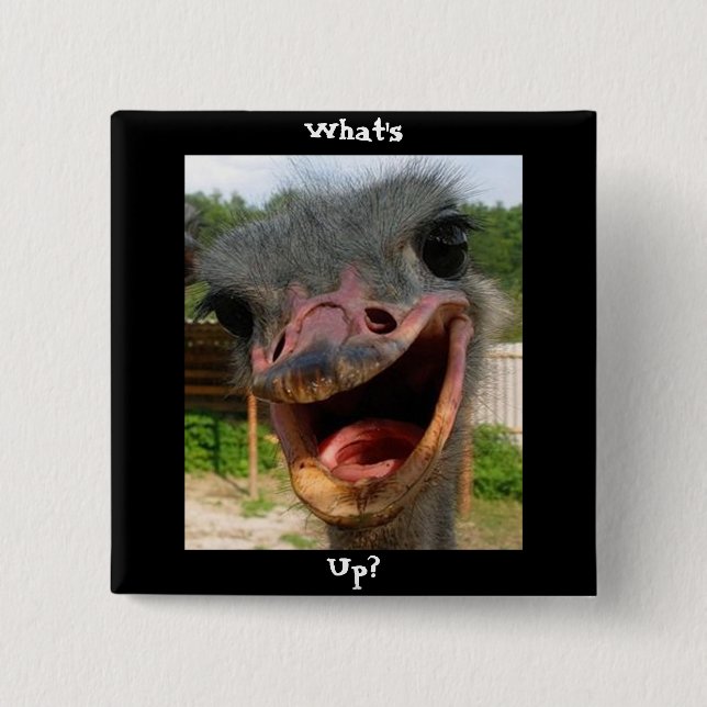 Funny Ostrich Bird Foto Was ist los? Button (Vorderseite)