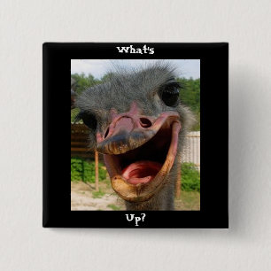Funny Ostrich Bird Foto Was ist los? Button