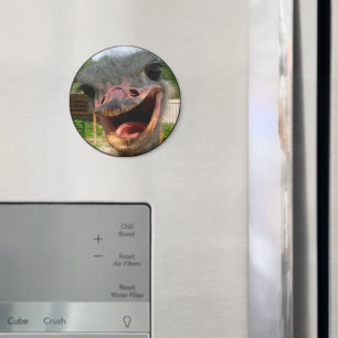 Funny Ostrich Bird Foto Was ist los? Magnet