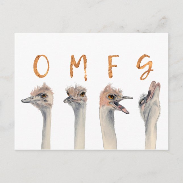 Funny Ostrich Birds OMFG Postkarte (Vorderseite)