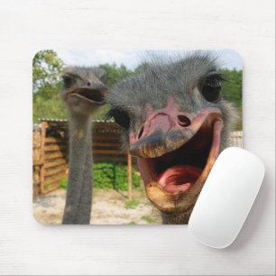 Funny Ostrich Couple Mousepad