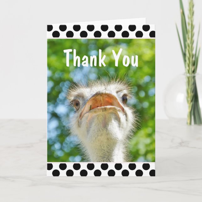 Funny Ostrich - Dankeschön Card Dankeskarte (Vorderseite)