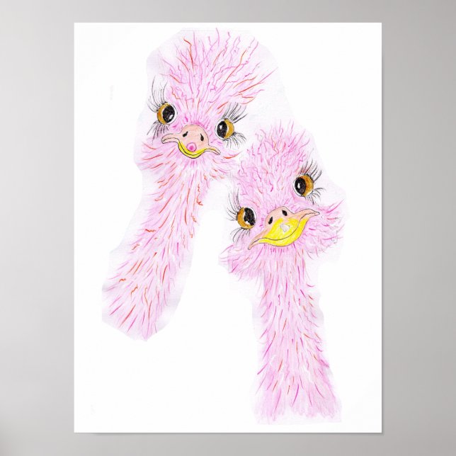 Funny Ostriches Poster  (Vorne)