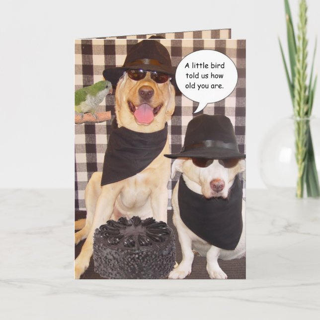 Funny Over Hill Karte (Vorderseite)