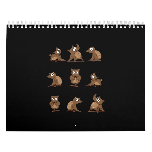 Funny Owl Emotion Muster Kalender (Titelbild)