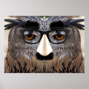 Funny Owl Gesicht mit Maske Poster
