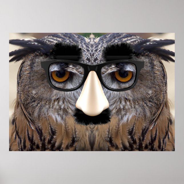 Funny Owl Gesicht mit Maske Poster (Vorne)