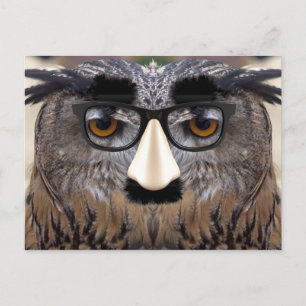 Funny Owl Gesicht mit Maske Postkarte