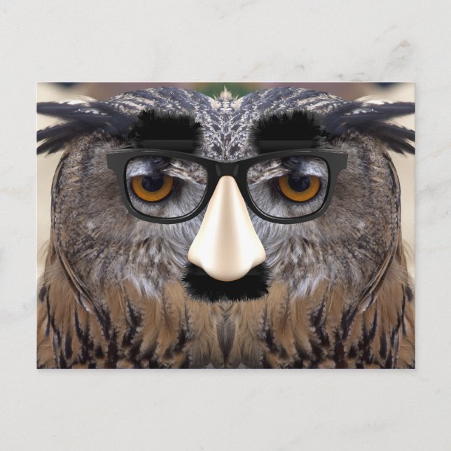 Funny Owl Gesicht mit Maske Postkarte (Vorderseite)