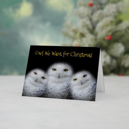 Funny Owl We Want for Christmas Snowy Owls Family