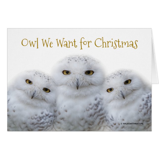 Funny Owl We Want for Christmas Snowy Owls Family (Vorderseite (Horizontal))