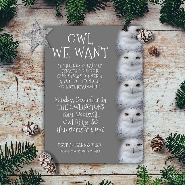 Funny Owl Wir Wollte zu Weihnachten ... Snowy Owls Einladung (Funny Owl We Want for Christmas ... Snowy Owls Invitation Flat Card Cover Photo.)