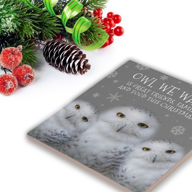 Funny Owl Wir Wollte zu Weihnachten ... Snowy Owls Fliese (Zazzle Funny Owl We Want for Christmas ... Snowy Owls Tile Cover Photo.)