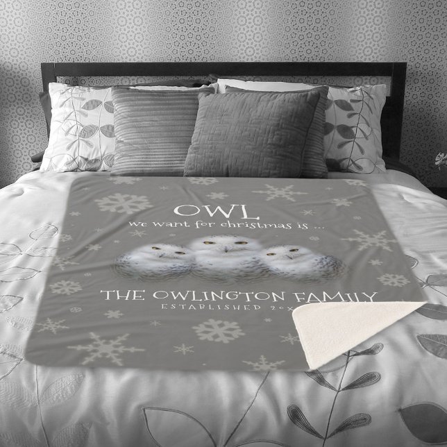 Funny Owl Wir Wollte zu Weihnachten ... Snowy Owls Sherpadecke (Funny Owl We Want for Christmas Snowy Owls Family Sherpa Fleece Blanket Cover Photo.)