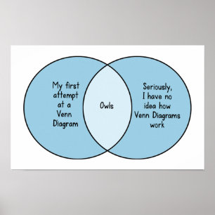 Funny Owls Venn Diagramm Poster