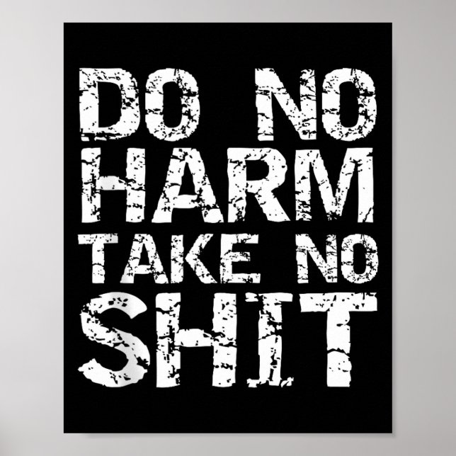 Funny Pacifist Quote Sarcastic Gift Do No Harm Tak Poster (Vorne)
