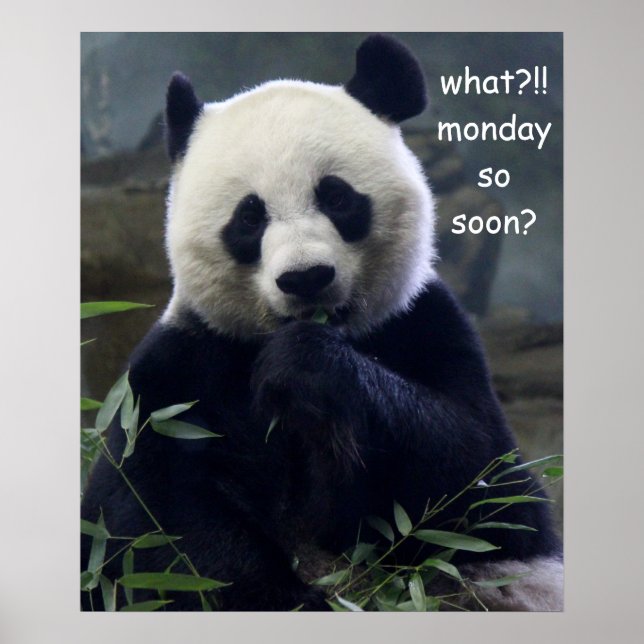 Funny Panda Poster, Montag So bald? Poster (Vorne)
