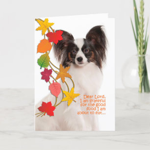 Funny Papillon Erntedank Card Karte