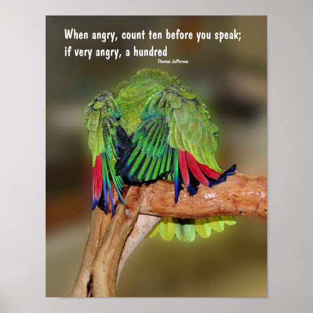 Funny Parrot Anger Zitat Inspiration Poster (Vorne)