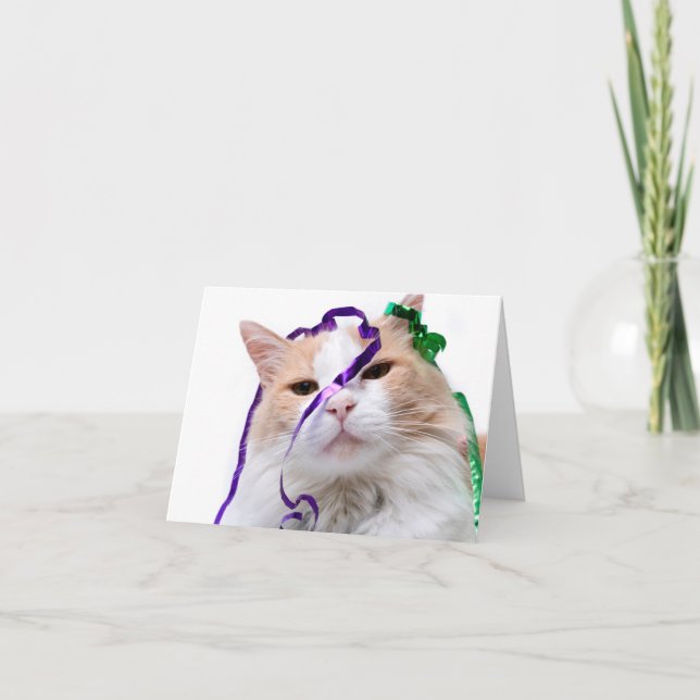 Funny Party Cat Karte (Vorderseite)