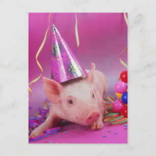Funny Party Pig Postkarte