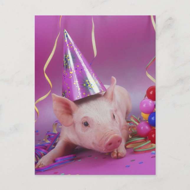 Funny Party Pig Postkarte (Vorderseite)