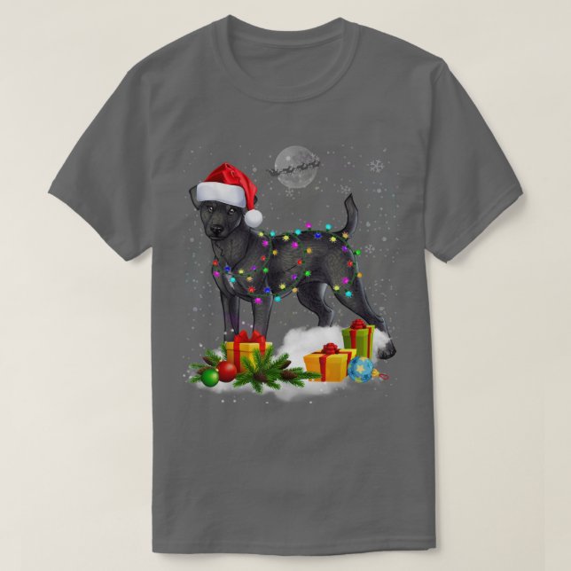 Funny Patterdale Terrier Dog Christmas Lights Sant T-Shirt (Design vorne)