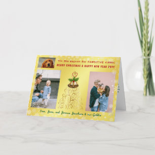 Funny Pawsitive Hund Katze 3 Fotos Elegante Golden Karte