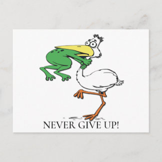 Funny Pelican Postkarte