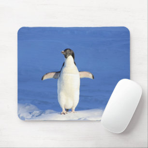 Funny penguin on ice photo mousepad