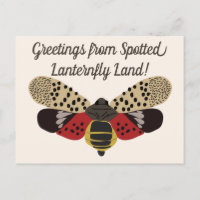 Funny Pennsylvania Gepunktet Lanternfly Custom