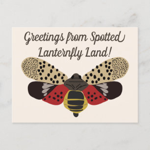 Funny Pennsylvania Gepunktet Lanternfly Custom Postkarte