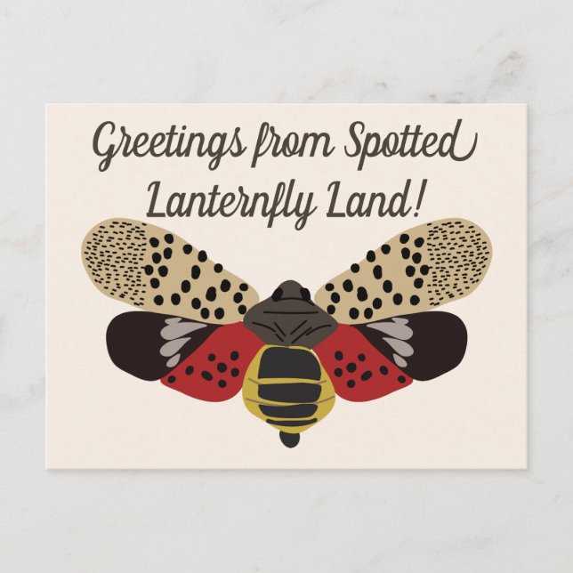 Funny Pennsylvania Gepunktet Lanternfly Custom Postkarte (Vorderseite)